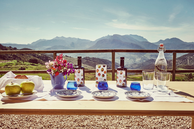 Organic olive oil tasting in the open air. Photo © Finca La Donaira